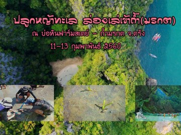 อาสาปลูกหญ้าทะเล ล่องเล่เข้าถ้ำ(มรกต) อาสาปลูกหญ้าทะเล ล่องเล่เข้าถ้ำ(มรกต)