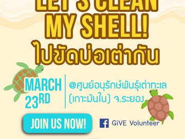Let’s clean my shell ไปขัดบ่อเต่ากันเถอะ