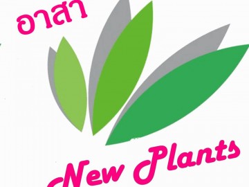 รวมผลคนอาสา NewPlants