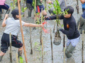 (ปิดรับสมัคร) อาสาปลูกป่าชายเลน สร้างแหล่งอนุบาลสัตว์น้ำ (๔ ก.ย.)