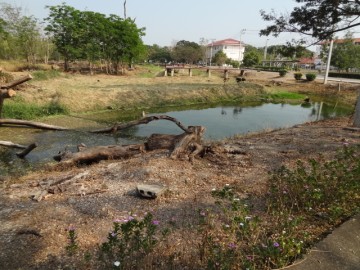 จิตอาสาประชาบดี ปรับภูมิทัศน์จัดสวนสถาบันประชาบดี 1, 19 มี.ค. Public gardening volunteer for Prachabodi Institute in Thaiiland