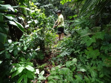 ปรับปรุงพื้นที่ป่าเพาะกล้าไม้ในกรุง (2)  16 กค Plantation and gardening volunteer