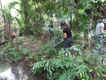 ปรับปรุงพื้นที่ป่าเพาะกล้าไม้ในกรุง (4)  10 ก.ย. Plantation and gardening volunteer
