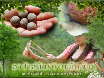 อาสาสมัคร ยิงเมล็ดพันธุ์พืช วัดเขาวงพระจันทร์ (เสาร์ 7 ต.ค)