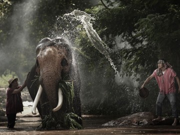 ปิดรับสมัคร ค่ายเขลางค์นครอาสา คนสร้างฝายให้ช้าง จ.ลำปาง รุ่น ๓ (ธันวาคม)