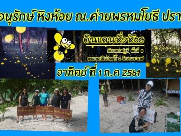 อาสา อนุรักษ์ หิ่งห้อย  ค่ายพรหมโยธี