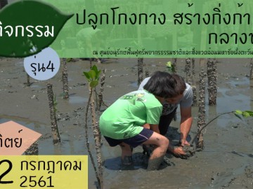 ปลูกโกงกาง สร้างกิ่งก้าน กลางชายเลน รุ่น4 (อาทิตย์ 22 กรกฎาคม 2561)