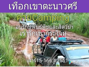 ค่ายCamping อนุรักษ์พันธุ์พืชและสัตว์ป่า เรารักเขากระโจม