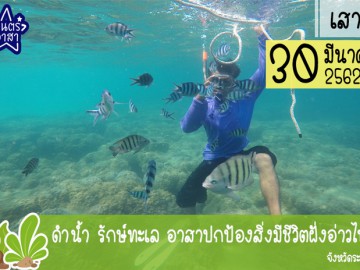 ดำน้ำ รักษ์ทะเล อาสาปกป้องสิ่งมีชีวิตฝั่งอ่าวไทย