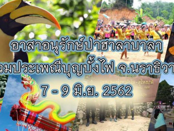 อาสาอนุรักษ์ป่าฮาลาบาลา ร่วมประเพณีบุญบั้งไฟ จ.นราธิวาส