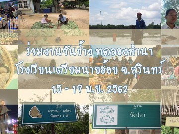 ร่วมงานวันช้าง ทดลองทำนา โรงเรียนเตรียมนายฮ้อย จ.สุรินทร์