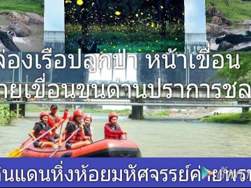 ล่องเรือปลูกป่า ศึกษาหิ่งห้อยดินแดนมหัศจรรย์