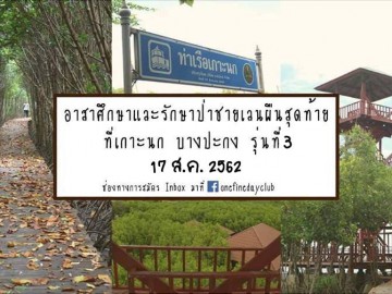 อาสาศึกษา และ รักษาป่าชายเลนผืนสุดท้าย ที่เกาะนก บางปะกง รุ่น3