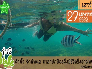 ดำน้ำ รักษ์ทะเล อาสาปกป้องสิ่งมีชีวิตฝั่งอ่าวไทย รุ่น2