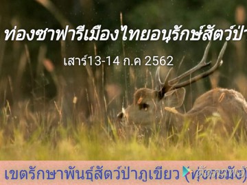 อนุรักษ์เขตรักษาพันธุ์สัตว์ป่าภูเขียว(ทุ่งกะมัง)ชมทุ่งดอกกระเจียว