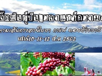 เมล็ดพันธุ์ปันเวลาแชร์ความสุขตามเส้นทางสายใบชากาแฟดอยช้างวาวี