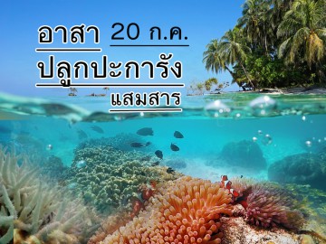 ค่ายอนุรักษ์ฯ ปลูกประการังฟื้นฟูระบบนิเวศ แสมสาร เสาร์ ๒๐ กค ค่ายอนุรักษ์ฯ ปลูกประการังฟื้นฟูระบบนิเวศ แสมสาร เสาร์ ๒๐ กค