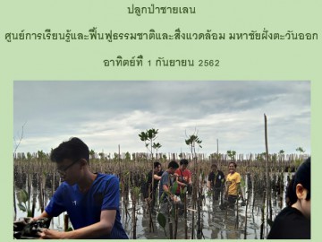 ปลูกป่าชายเลน เพื่อเป็นแหล่งอนุบาลสัตว์น้ำ ณ.ศูนย์เรียนรู้และมหาชัยฝั่งตะวันออก 1กันยา 62