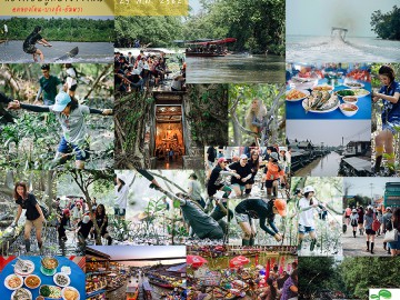 ล่องเรือปลูกป่าชายเลน 25 ส.ค. 2562