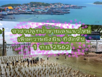 อาสาปลูกป่าชายเลนแนวใหม่ เพื่อความยั่งยืน ที่สัตหีบ