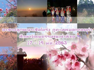 อาสาปลูกพญาเสือโคร่ง ดูทะเลหมอกบนดอยดำ ศึกษาวัฒนธรรมชนเผ่าลีซอ