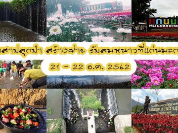 อาสาปลูกป่า สร้างฝาย รับลมหนาวที่แก่นมะกรูด จ.อุทัยธานี