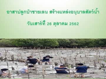 ปลูกป่าชายเลน เพื่อเป็นแหล่งอนุบาลสัตว์น้ำ ณ.ศูนย์เรียนรู้และมหาชัยฝั่งตะวันออก 26ตค 62