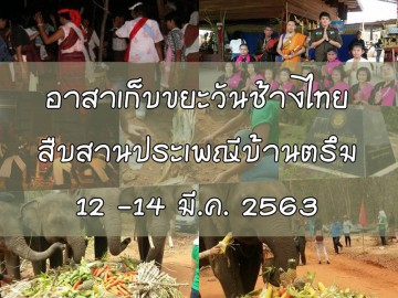 อาสาเก็บขยะวันช้างไทย สืบสานประเพณีบ้านตรึม จ.สุรินทร์