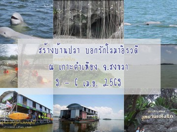 สร้างบ้านปลา บอกรักโลามาอิรวดี ณ เกาะคำเหียง จ.สงขลา