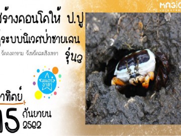 สร้างคอนโดให้ ป.ปู คู่ระบบนิเวศป่าชายเลน รุ่น3
