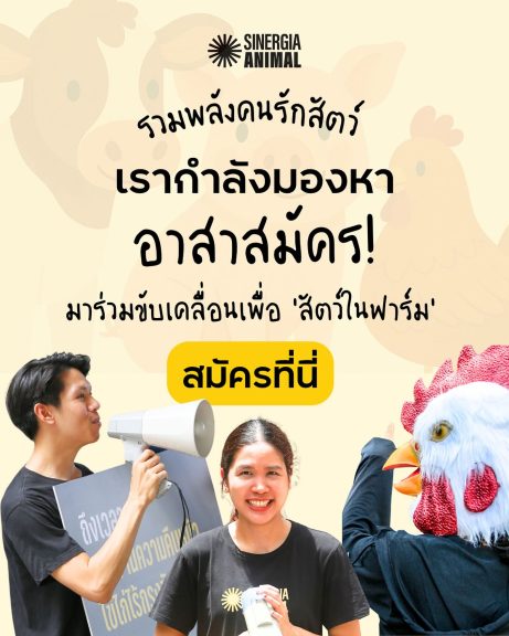 มาร่วมขับเคลื่อนเพื่อสัตว์ไปด้วยกัน!